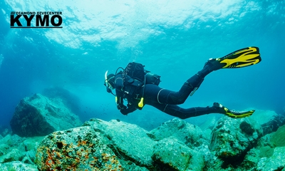SSI Try Scuba-introductieduik of SSI Scuba Diver-duikcursus (voor 1 of 2 pers.)