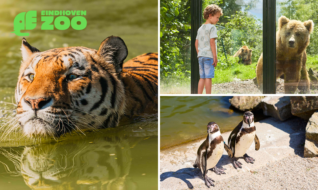 Gehele dag entree tot Eindhoven Zoo (voorheen Dierenrijk) Gehele dag entree tot Eindhoven Zoo (voorheen Dierenrijk)