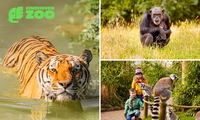 Gehele dag entree tot Eindhoven Zoo