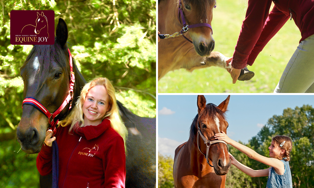 Massage met paarden op locatie (90 min)