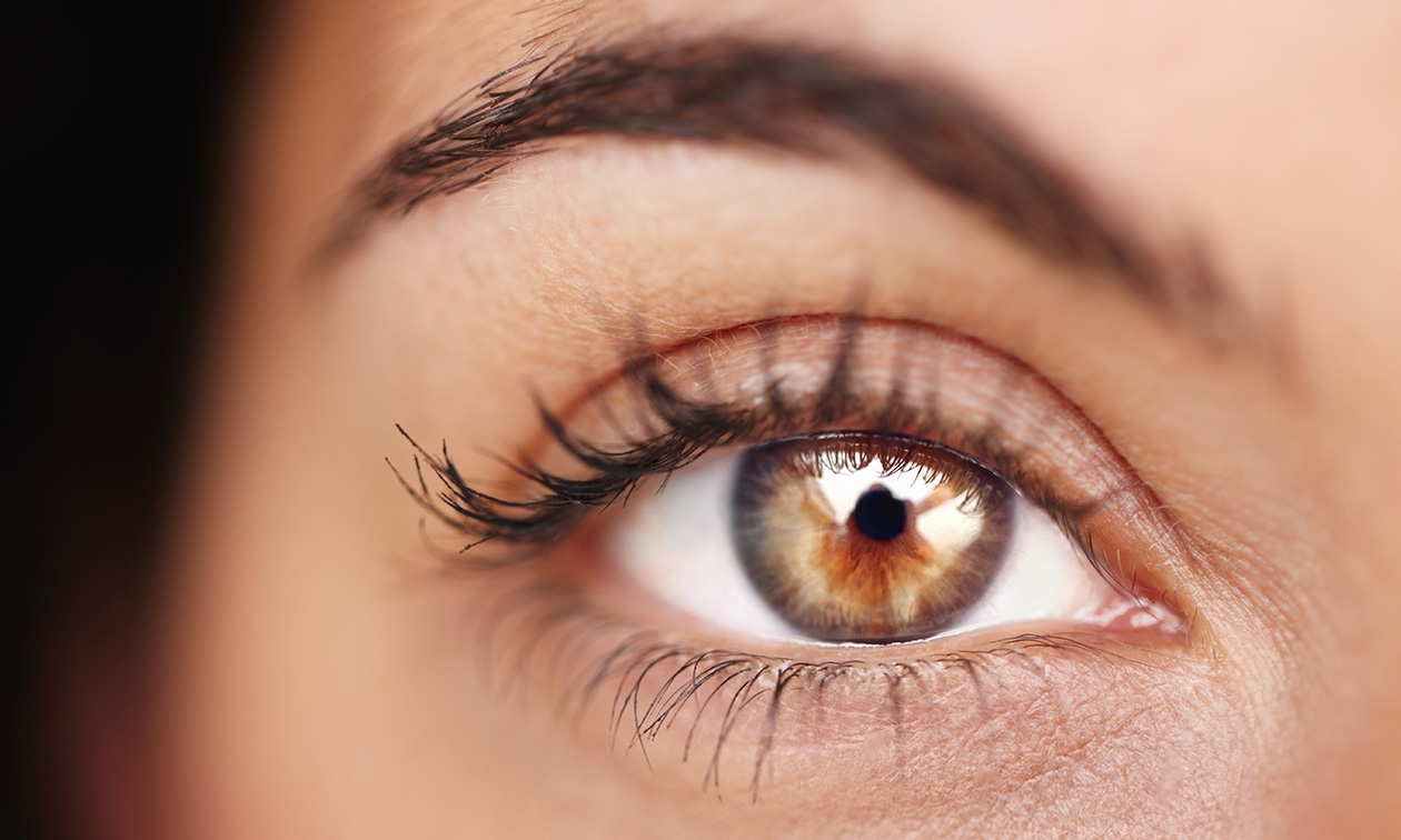 Wenkbrauw- of wimperbehandeling naar keuze