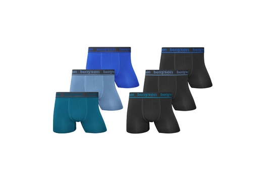 6 par bambus boksershorts