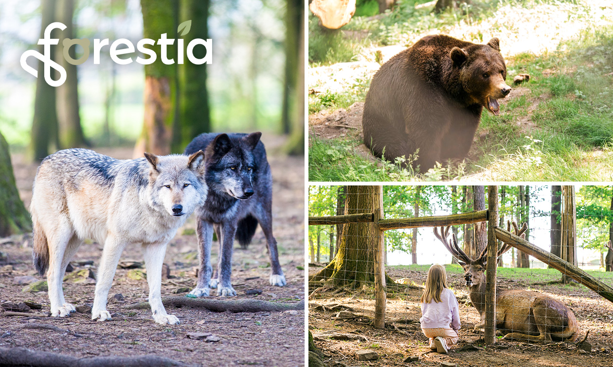 Entree voor dierentuin Forestia in de buurt van Spa