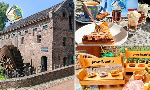 Bezichtiging Graanbranderij + proefbankje (3 likeuren) + warme drank met vlaai + flesje likeur