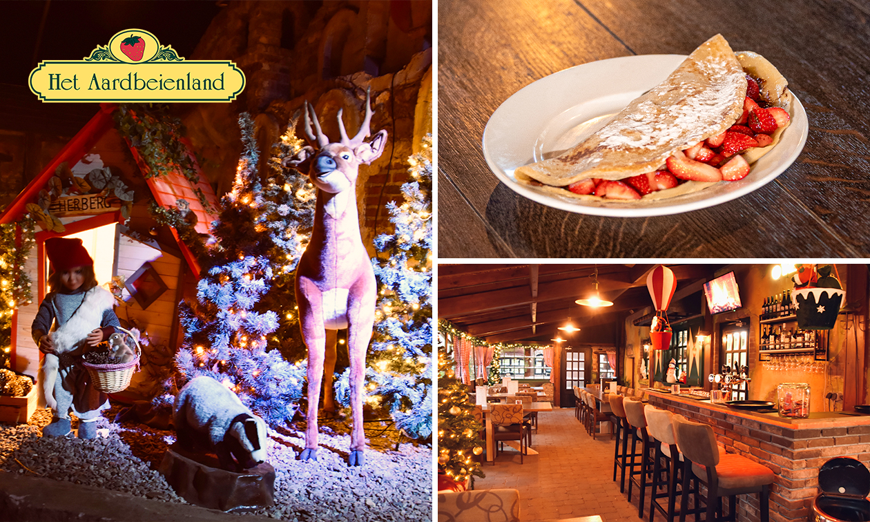 Entree voor Winter Wonderland bij Het Aardbeienland + drankje of iets lekkers