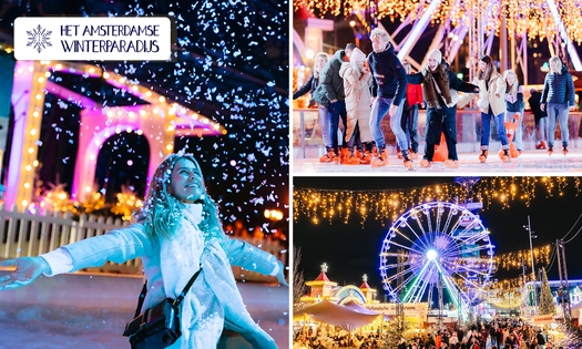 Entree voor Het Amsterdamse Winterparadijs