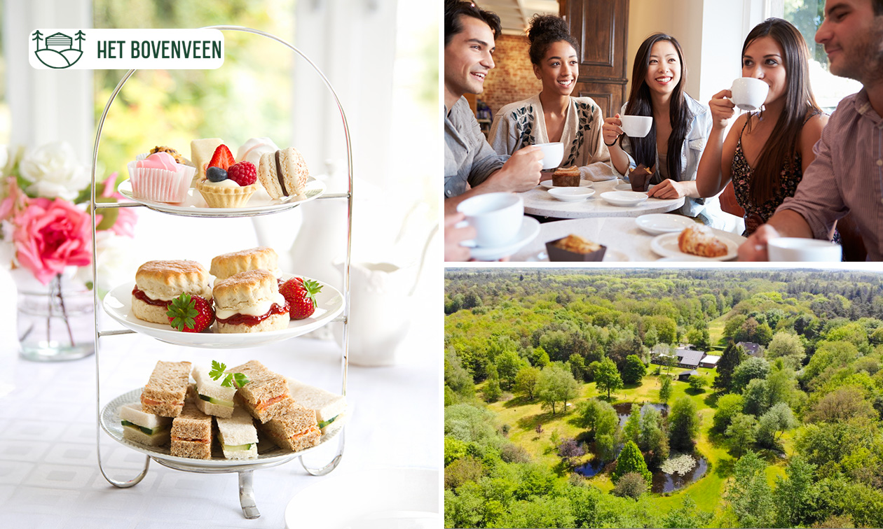 High tea midden in de Drentse natuur