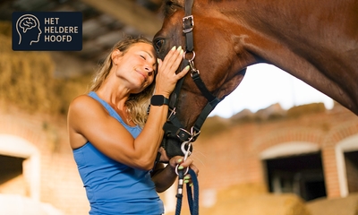 Paardencoaching (60 min)