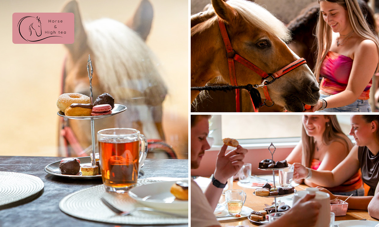 High tea met meet & feed met paarden (3 uur)