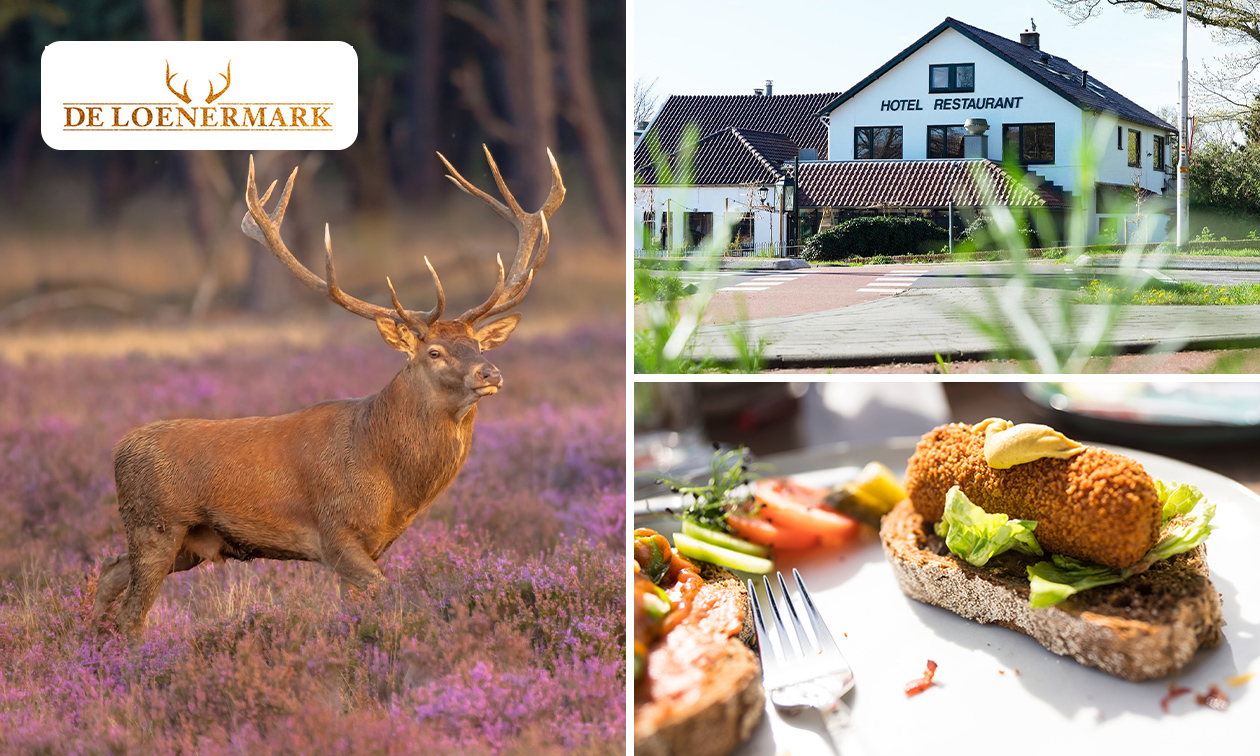 Hotel & Restaurant De Loenermark