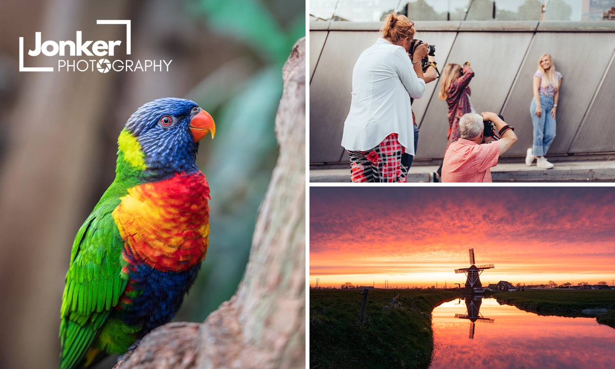 (Online) basiscursus fotografie (3,5 uur)