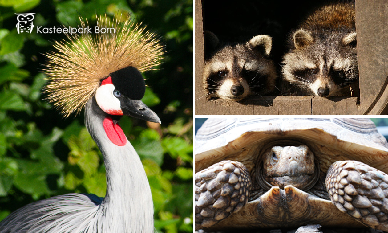 2 entreetickets voor Kasteelpark Born
