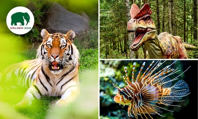Entree voor Kölner Zoo, het aquarium en Dinoworld