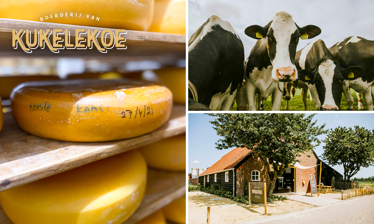 Rondleiding op een kaasboerderij (90 min) + kaasplankje
