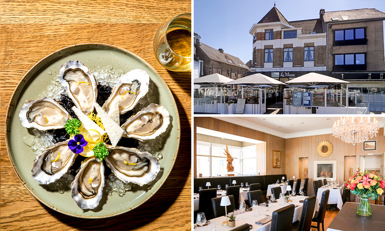 3-gangen keuzelunch of -diner