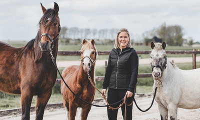 1 of 3 sessies paardencoaching (à 60 min)