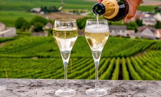 Journée privée avec visites, dégustations de champagne et plus (6 à 7h) à Épernay