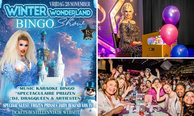 Entree Mega Meezing Bingo Winter Wonderland Editie
