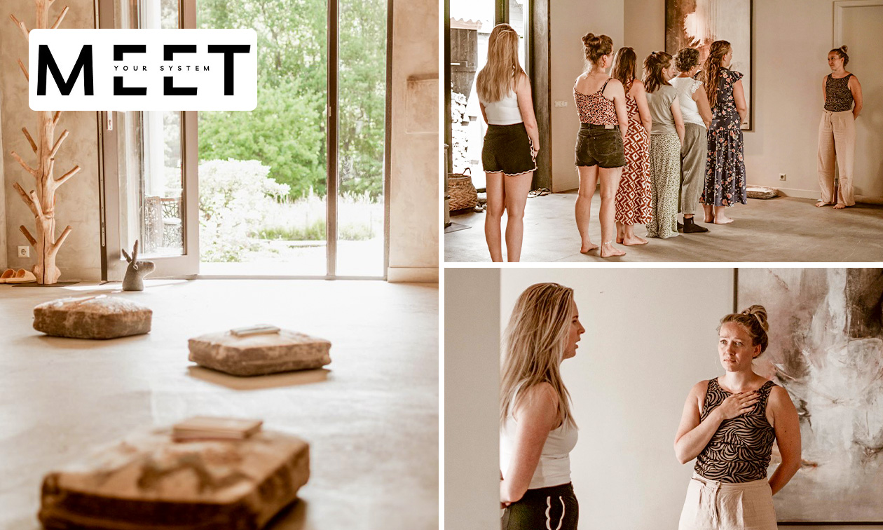 Chakra-opstelling (60 min) of visualisatie familiesysteem