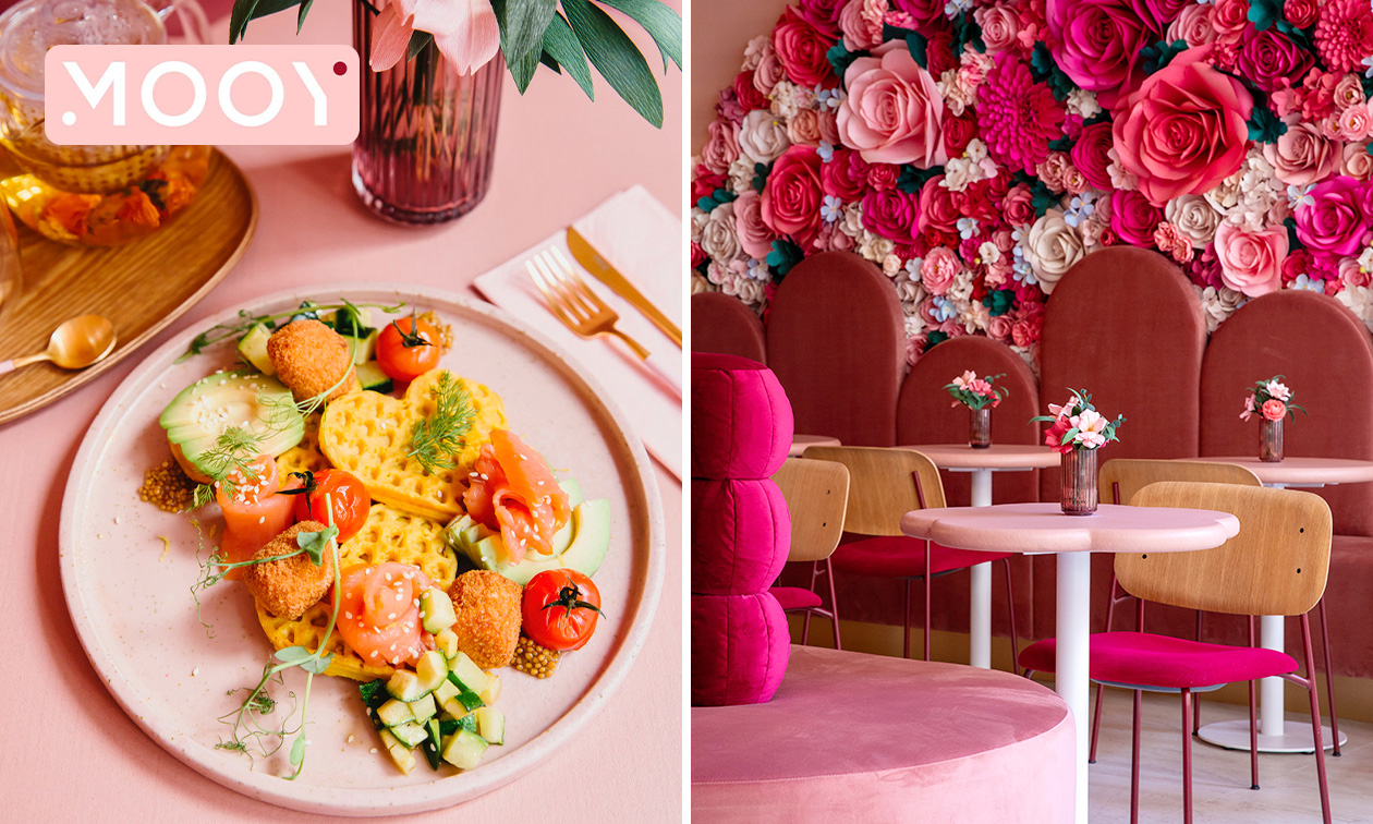 Lunchgerecht naar keuze bij MOOY in hartje Antwerpen