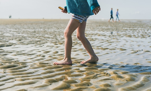 Wadlopen (2,5 tot 3 uur)