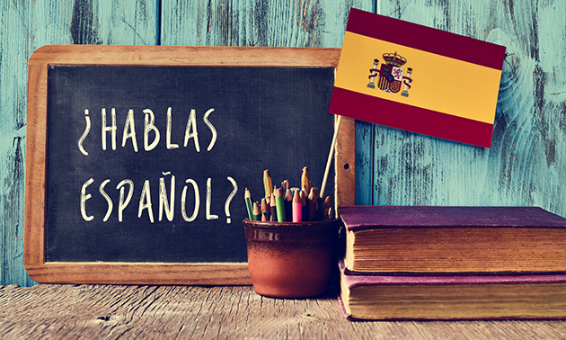 Cursus Spaans voor beginners + lesmateriaal