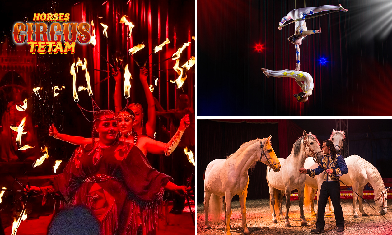 Entree voor Paardencircus Tetam