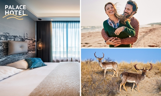 Overnachting voor 2 + ontbijt + 2 tickets voor Holland Casino in Zandvoort