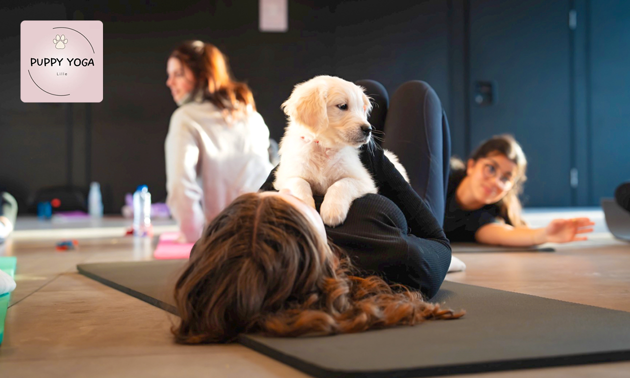 Cours de puppy yoga (60 min) enfant ou adulte + goûter à Lille