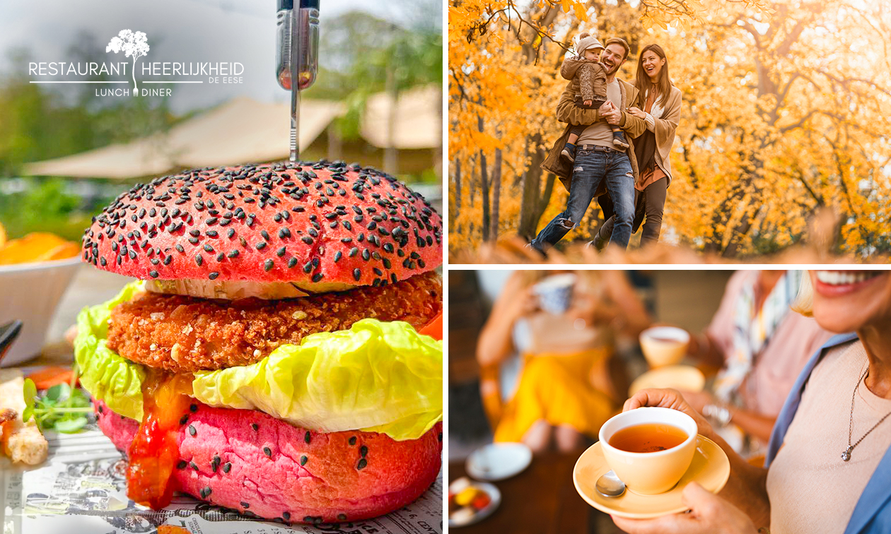 Wandelarrangement incl. drank + gebak + 2-gangenlunch