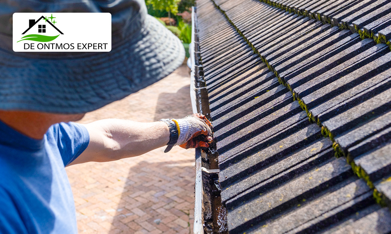 Dakgootreiniging naar keuze
