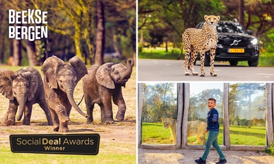 Entree Safaripark Beekse Bergen