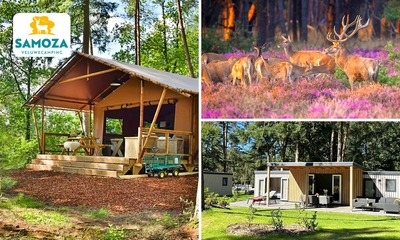 (Mid)week of weekend in een lounge of lodge (2-6 personen)