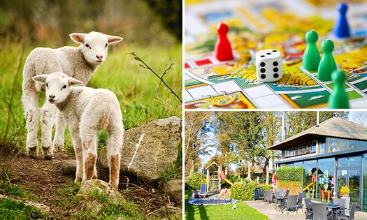 Boerderijspellen + rondleiding + drankje