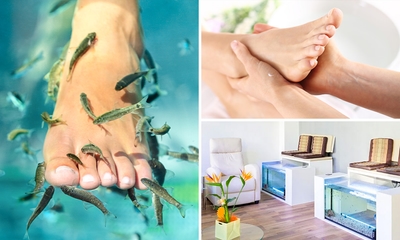 Fishspa-Behandlung (15 oder 30 Min.) + opt. Fußmassage (30 Min.) in Köln