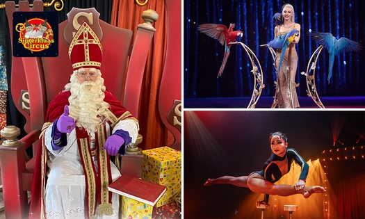 Entree Sinterklaas Circus Helmond