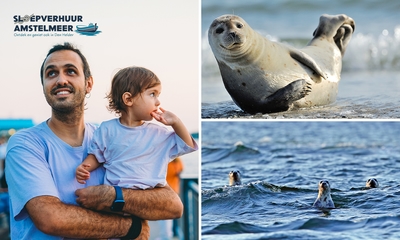 Zeehondenexcursie vanaf het water (2 uur)