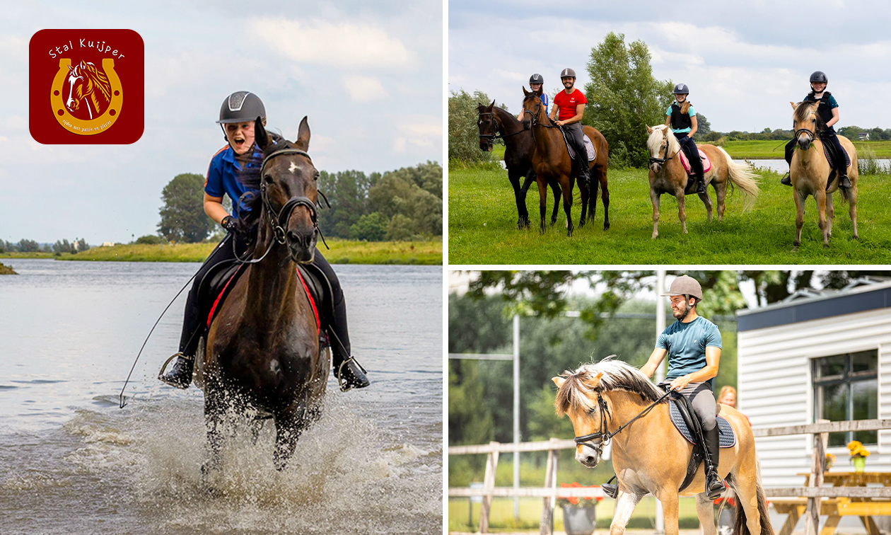 Avontuurlijke bos- of waterrit op een paard (3 uur)
