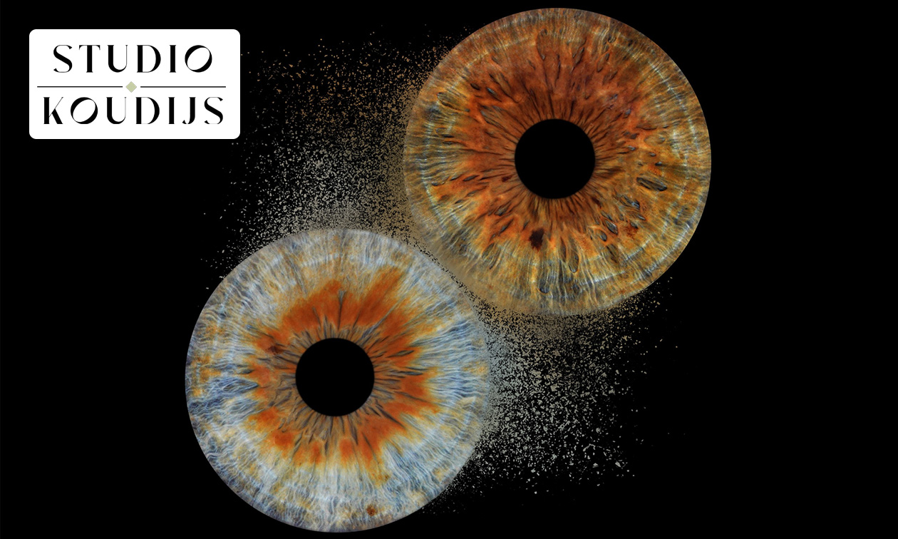 Iris-fotoshoot voor 1 persoon + digitale foto