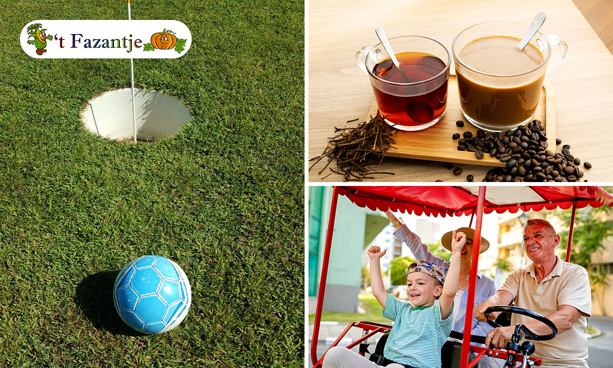 Boerengolf (10 holes) + familiefiets (1 uur) + drankje en koek