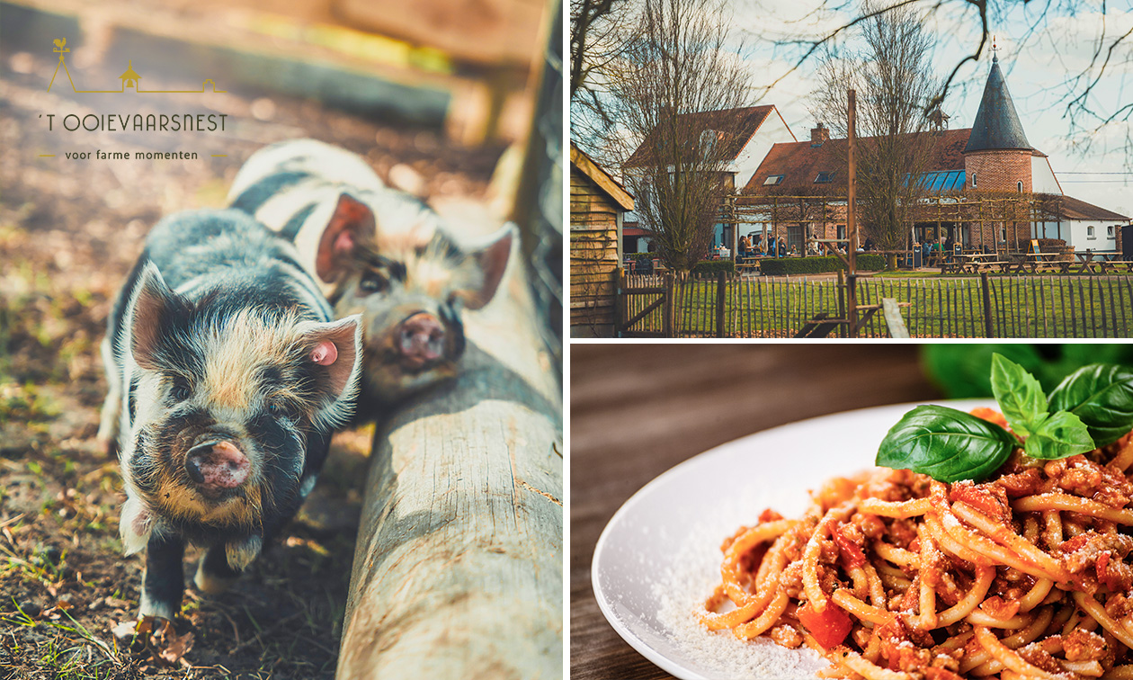 Toegang kinderboerderij + spaghetti + drankje