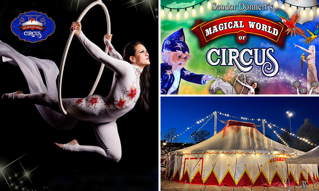 Entree voor The Magical World of Circus