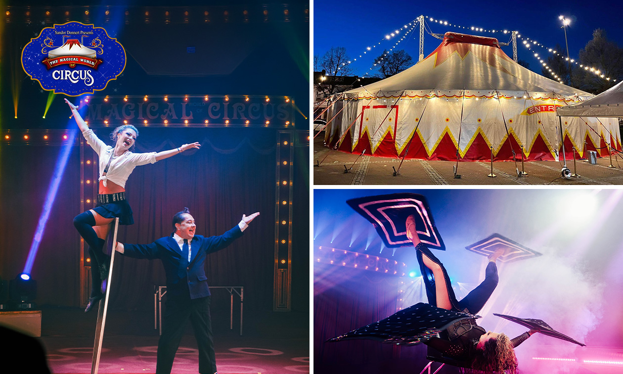 Entree voor The Magical World of Circus