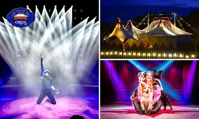 Entree voor The Magical World of Circus