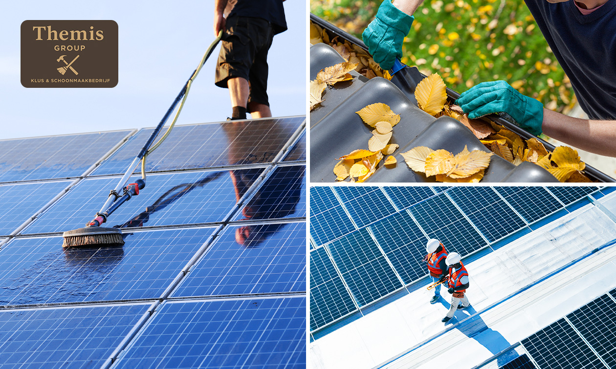 Dakinspectie + dakgoot reinigen + evt. dakkapel en/of zonnepanelen reinigen