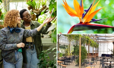 Entree Hortus Botanicus van de TU Delft