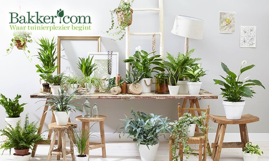 Waardebon voor online tuincentrum Bakker.com
