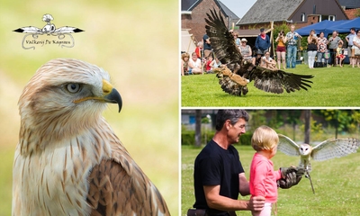 Roofvogelworkshop (3 uur) + drankjes en versnaperingen