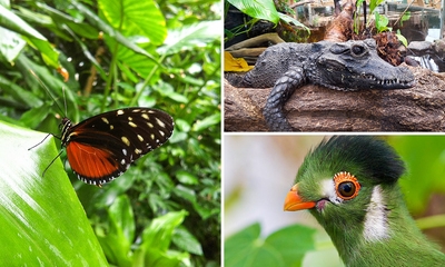 Entree voor vlindertuin: Vlinders aan de Vliet