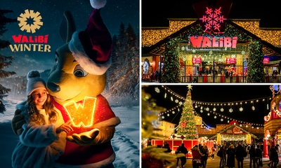 Entree Walibi Winter